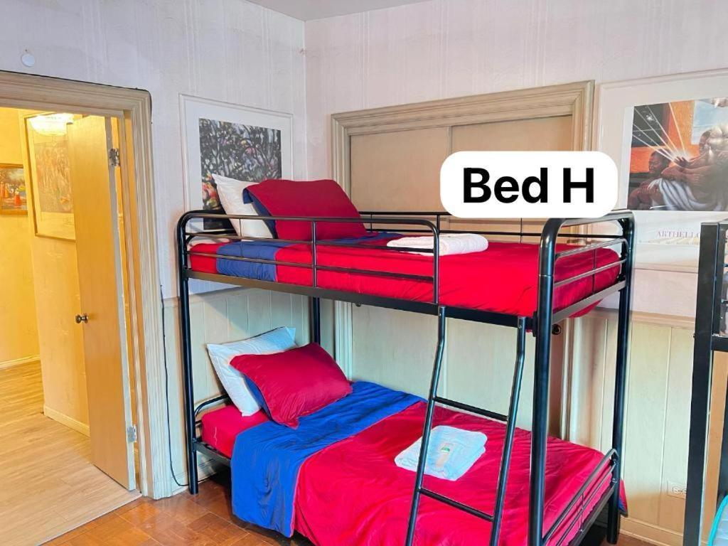 Pill Hill Mansion Hostel Chicago Kültér fotó